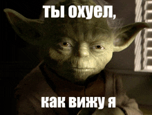 a picture of yoda with the words " ты охуел " on it