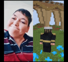 a picture of a person next to a picture of a person in a minecraft skin