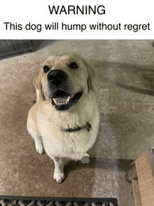 a picture of a dog with the words " warning this dog will hump without regret " above it
