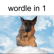 a german shepherd sitting on a cloud with the words wordle in 1 below it