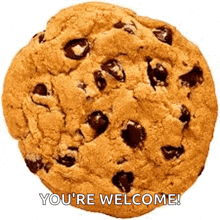 a close up of a chocolate chip cookie with the words `` you 're welcome '' written on it .