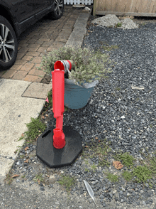 a potted plant sits next to a red pole on gravel