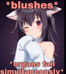 a picture of a girl with cat ears and the words blushes and organs fail simultaneously .