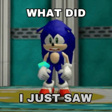 a cartoon of sonic the hedgehog with the words what did i just saw above him .
