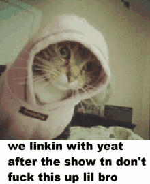 a cat wearing a pink hoodie with the words we linkin with yeat