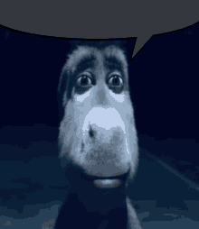 a close up of a donkey 's face with a speech bubble behind it