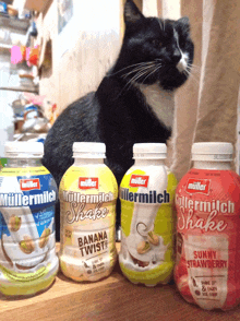 four bottles of muller milkshakes sit on a table