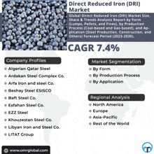 a flyer for direct reduced iron ( dri ) market with company profiles