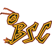 a logo for bsc with an ant and a star on it