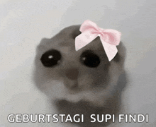 a hamster with a pink bow on its head and the words geburtstagi supi findi