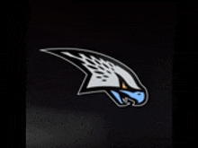 a black background with a white and blue eagle on it