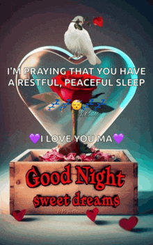 a good night sweet dreams message with a heart shaped vase