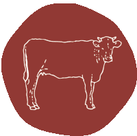 a drawing of a cow on a red circle