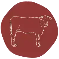 a drawing of a cow on a red circle