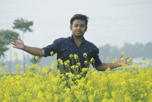 a young man stands in a field of yellow flowers with his arms outstretched