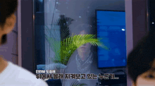 a person is standing in front of a window with a palm tree in front of them