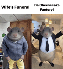 a picture of a mouse dressed as a man with the caption wife 's funeral