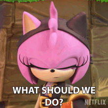 amy the hedgehog from sonic the hedgehog says what should we do