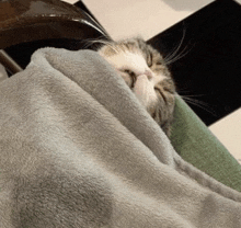 a cat is wrapped in a gray blanket and sleeping on a chair .