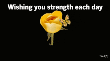 a yellow rose with the words wishing you strength each day get well soon