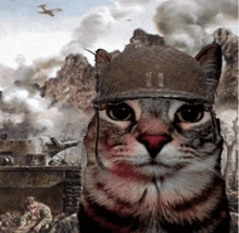 a cat wearing a military helmet looks at the camera in front of a battle scene