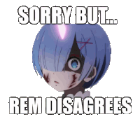 a picture of rem with the words sorry but rem disagrees below her