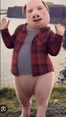 a pig wearing a plaid shirt and a gray shirt is standing on a grassy hill .