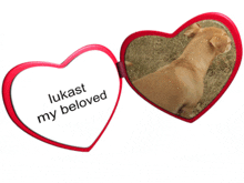 a red heart shaped mirror with the words lukast my beloved on it