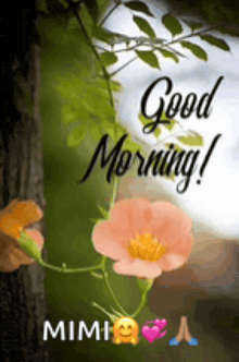 a picture of a flower with the words " good morning " on it