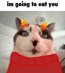 a cat with horns on its head and the words im going to eat you