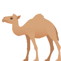 a cartoon drawing of a camel standing on its hind legs