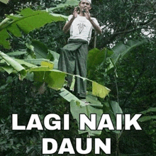 a man is sitting on top of a banana leaf with the words lagi naik daun written below him .