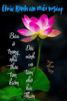 a greeting card with a pink lotus flower and a green leaf