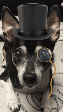 a small dog wearing a top hat and a magnifying glass