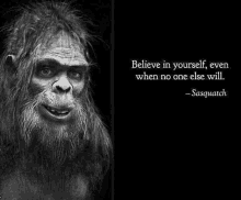 a black and white photo of a bearded man with a quote from sasquatch .