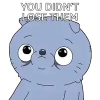 a cartoon cat with the words you did n't lose them above it