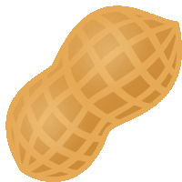 an illustration of a peanut with a grid pattern