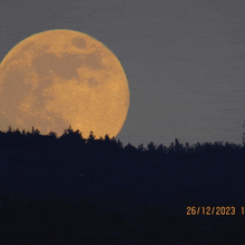 a full moon rises over a forest on the 26/12/2023