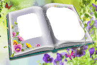 an open book with flowers and butterflies on the edges