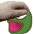a person is petting a frog with a pink mouth .