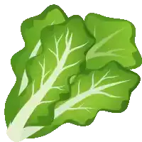 a close up of a lettuce leaf with white leaves on a white background