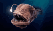 a 3d rendering of a anglerfish with a light in its mouth .