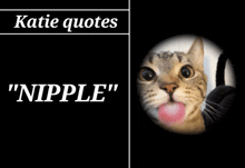 a picture of a cat with the words katie quotes " nipple "