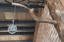 a light bulb hanging from a tree branch with a brick wall in the background