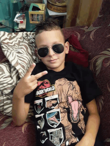 a boy wearing sunglasses and a jurassic world shirt