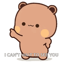 a brown teddy bear with the words " i can 't wait to see you " below it