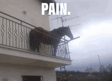 a horse standing on a balcony with the words pain written below it