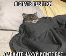 a cat wrapped in a blanket with a caption in a foreign language