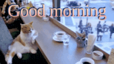 a cat is laying on a table in front of a window with the words good morning above it