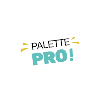 a logo that says palette pro in blue